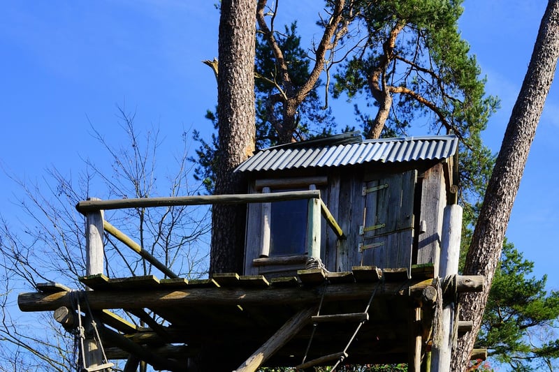 Treehouse Lodge