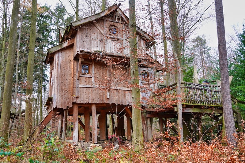 Treehouse Lodge at Night